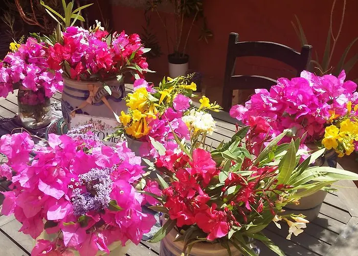 Casa El Morro Casa de Campo