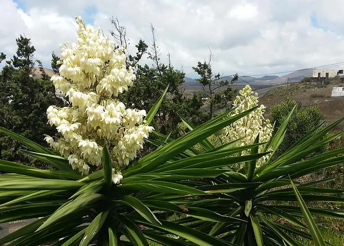 Landsted Casa El Morro
